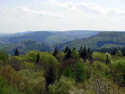Aussicht vom Hermannsdenkmal
