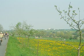 im Frühling den ersten Sonnenschein genießen